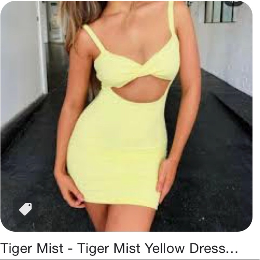 TigerMist Mini Dress